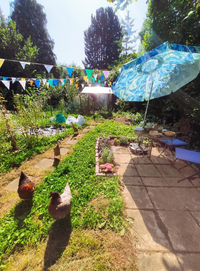 Modernes Zimmer Am Park Mit Garten, Huehner & Enten 慕尼黑 外观 照片