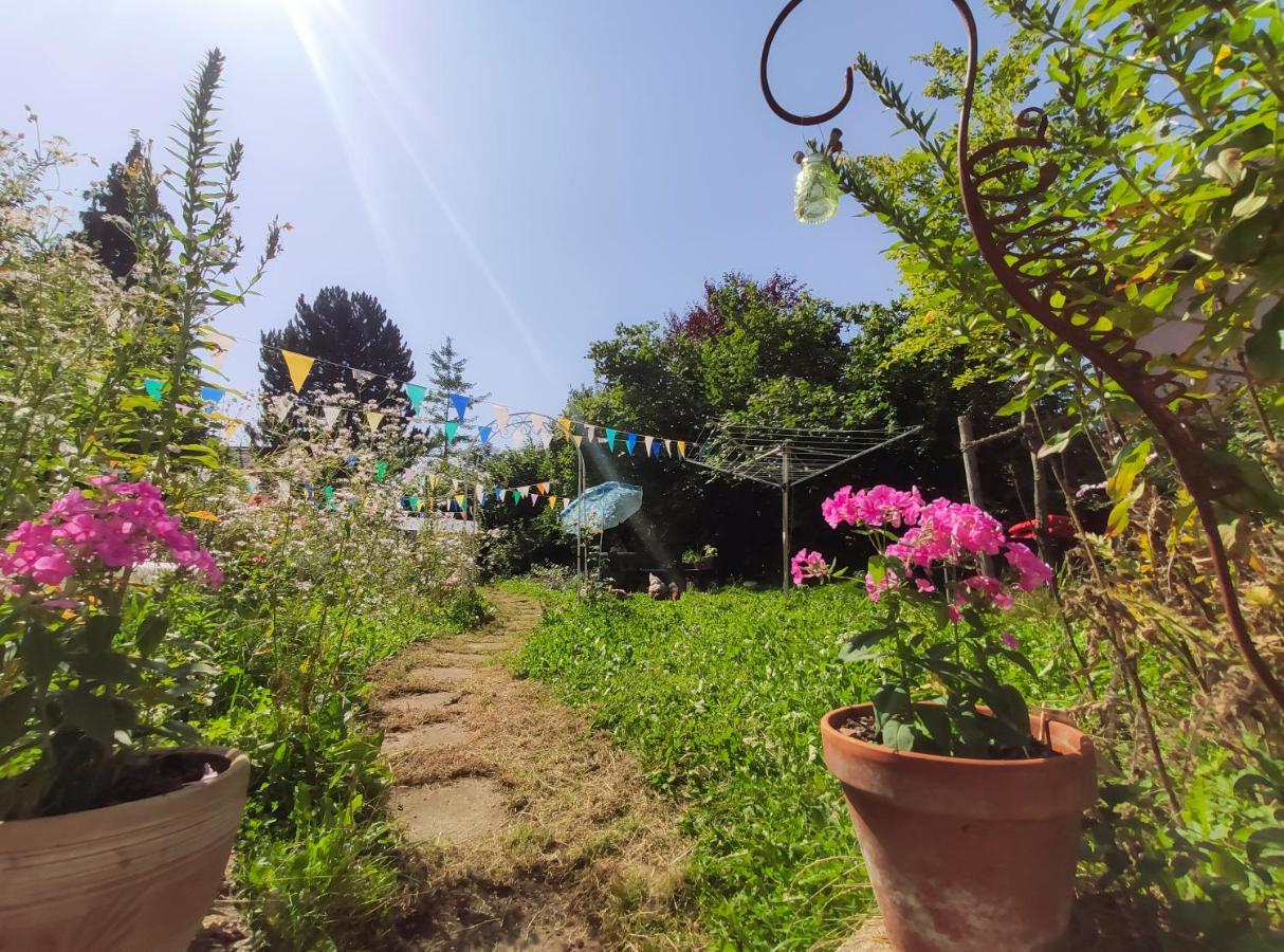 Modernes Zimmer Am Park Mit Garten, Huehner & Enten 慕尼黑 外观 照片